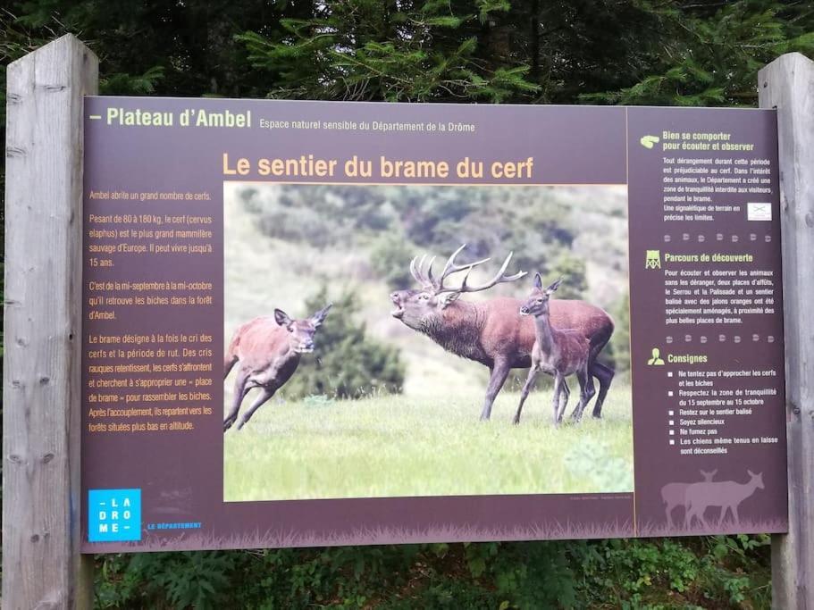 Logement Standing Wifi Vercors 'In Saint-Jean-en-Royans Exteriör bild